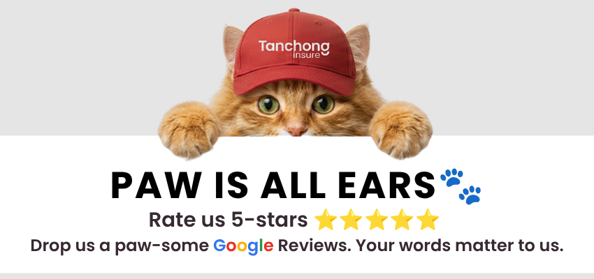 TCI.website.mobile | Tan Chong Insure